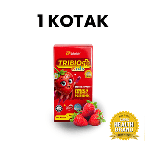 Set 1 Kotak